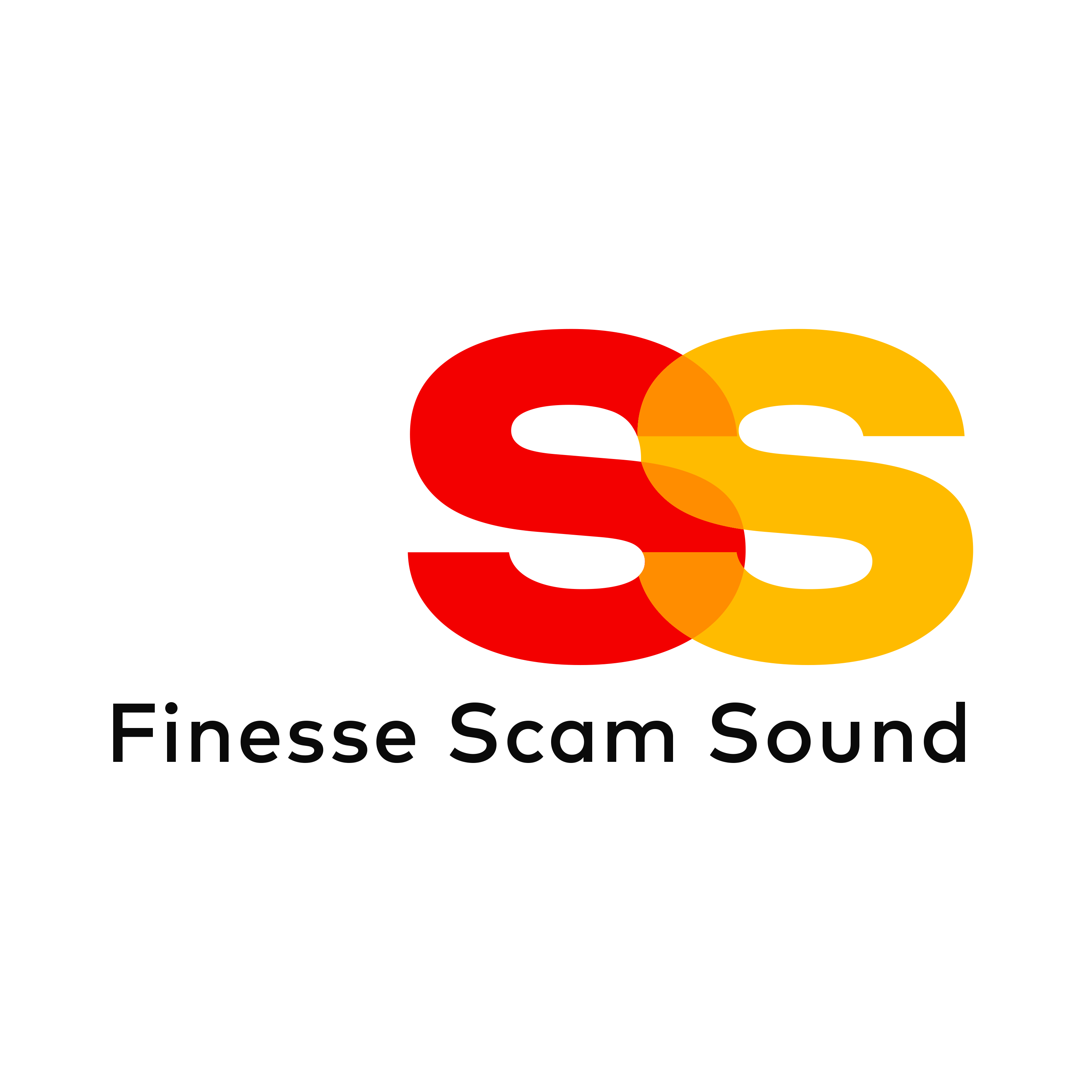 FSS Logo